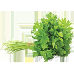 Parsley 100 gms