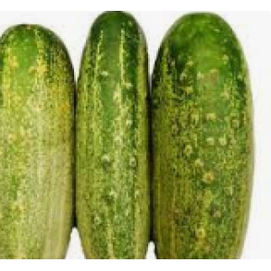 Cucumber - Regular 250 gms