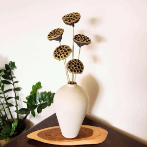 dried-lotus-flower-pods-big-gold