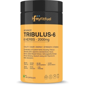 MyFitFuel Tribulus +6 Herbs 2000mg, Ginseng, Kaunj, Safed Musli &more 120 Tablet 120 no.s Minerals Tablets