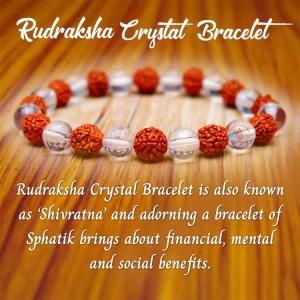 citrine-crystal-rudraksha-harmony-bracelet-unlocking-success-and-joy