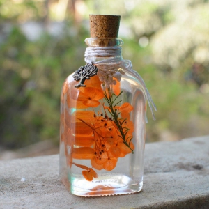 tangerine-beaut-preserved-flower-tabletop-none