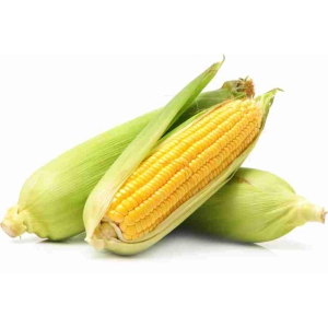 SWEETCORN 500 Grams