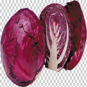 Cabbage - Red 1 pc