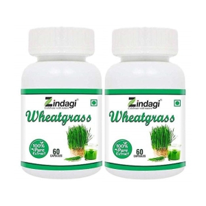 Zindagi wheatgrass capsule 120 gm Multivitamins Capsule Pack of 2