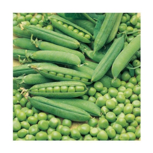 Pea seeds