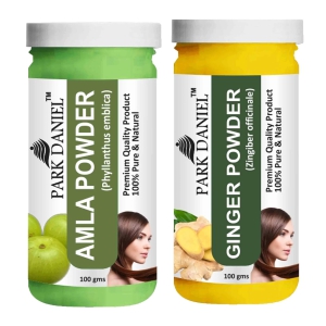 Park Daniel Amla Powder & Ginger Powder Combo pack of 2 Jars of 100 gms(200 gms)-Free Size