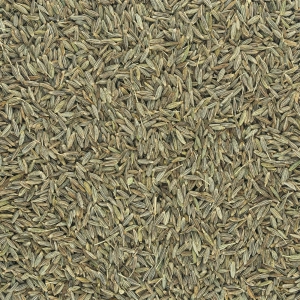 Cumin from Gujarat-50 gm - powder