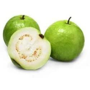 Organic Guava /Amrood /psidium guajava/jamfal/jama/Peru Fresh Fruits (2 Piece)