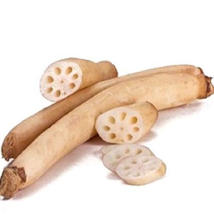 Lotus Stem 250 gms