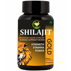 FIJ AYURVEDA Shilajit Gold Capsule for Men & Women - 800mg 60 Capsules