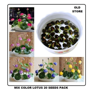 OLD STORE Lotus Flower Seeds - 20 seed - Pink & White Colors Seeds For Home Garden - 20 Seeds + Instruction Manual