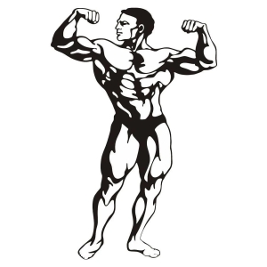 Asmi Collection Body Builder Wrestler Wall Stickers for Gym Sticker ( 40 x 60 cms )