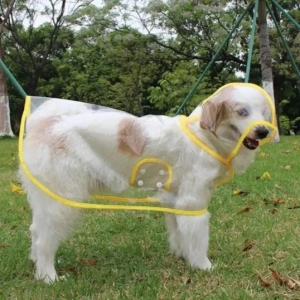 Dog Clothes| Transparent Dog RainCoat | Sizes and Colours Available| Claws N Paws-Yellow / 4XL