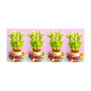 Green plant indoor - Green Wild Artificial Flowers With Pot ( Pack of 4 )