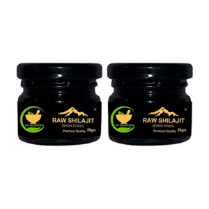 FIJ AYURVEDA Pure Ayurvedic Raw Shilajit/Shilajit Resin (Semi Liquid) Supports Power, Energy & Vitality - 40Gm (Pack of 2)