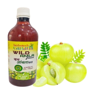 Herbotech Canada WILD AMLA JUICE NATURAL SOURCE OF VIT C, healthy Hair & Skin, Detox juice for weight loss I NO ADDED SUGAR