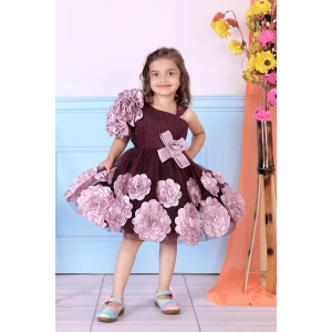 Childbird Wine Color Net Kids Frock Dress-3-4 Year