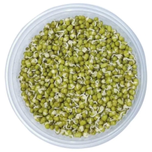 Beans Sprout 100 Gms