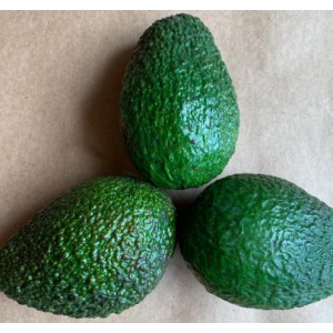 Avocado - Imported 1 pc