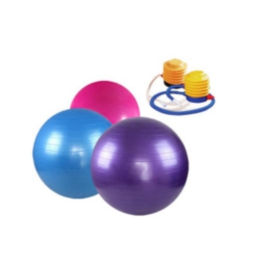 Best Exercise Gym Ball in India-65mm