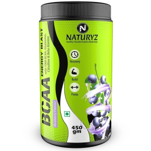 NATURYZ BCAA Energy Blast Pre Intra Post Workout For Recovery & Energy - 450g(BlueBerry Flavour)