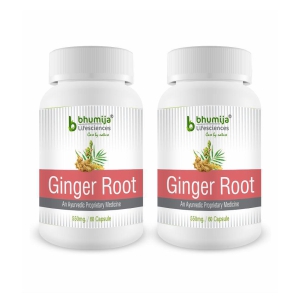 BHUMIJA LIFESCIENCES Ginger Root Capsules 120 no.s