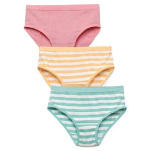 Girls Multicolor Pack of 3 Striped Brief-3-4 years