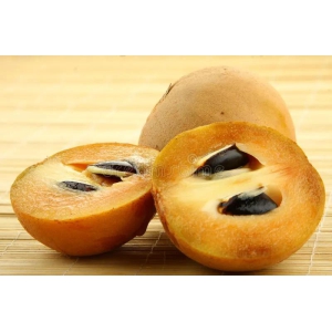 Sapota(Chikoo)-Fresh-6 pcs