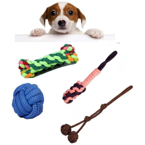 Beetle, Two Knot Two Punch, Small Ball, Bone Rope Toys for Dogs, Puppy chew Teething Set of 4