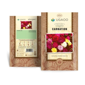 Ugaoo Carnation Flower Seeds (Pinkish Purple, Pack of 200)