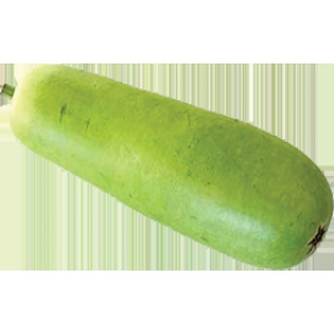 Bottle Gourd 1 pc