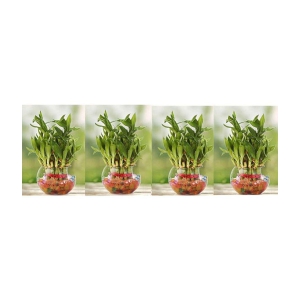 Green plant indoor - Green Wild Artificial Flowers With Pot ( Pack of 4 )