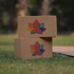 Kavi Buddha Cork Yoga Bricks (Set of 2)