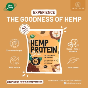 Hemp Protein Bite-Pack of 12 : Orange