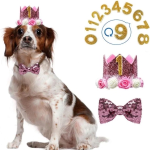 Birthday Crown & Bow Tie Set-Pink