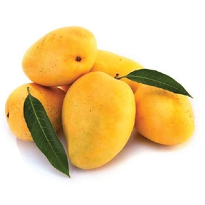 Mango - Kesar 1 kg