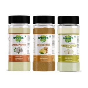 Natures Gift - 250 gm Onion Powder (Pack of 3)