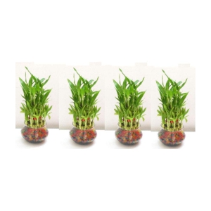 Green plant indoor - Green Wild Artificial Flowers With Pot ( Pack of 4 )