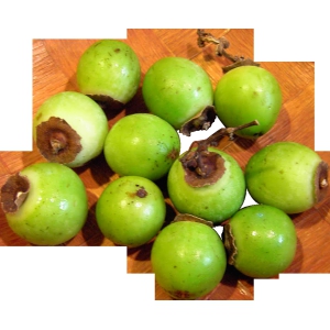 Guava 1 Kg