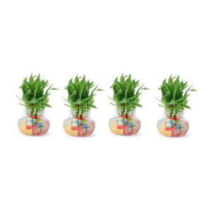 Green plant indoor - Green Wild Artificial Flowers With Pot ( Pack of 4 )