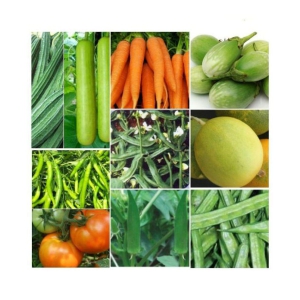 10 VEG COMBO (10-10 SEEDS OF EACH 1) TOTAL 10 SEEDS PACK WITH MANUAL