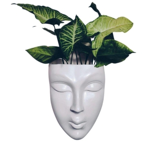 DZIGN Face Planter, White Head Planter for Home Decor and Garden Hanging. White Female Face Planter Pack of 1.