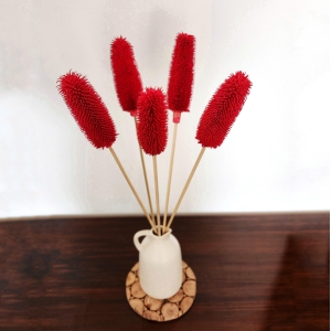 exotic-dried-flowers-crimson-red-set-of-3