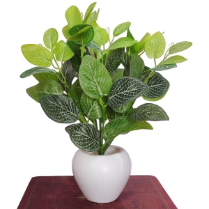 BAARIG - Green Evergreen Artificial Plants Bunch ( Pack of 1 )