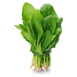 saraswati garden Spinach (Palak) Vegetables - 100 Seeds Pack