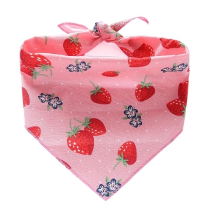 Summer Fruits Pet Bandana-Strawberry / L