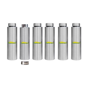 HomePro - Stainless Steel Bottle 100% leak proof Pack of 6 for Home | Gym | Fridge | School | Office | Trekking & Hiking Bottle - Silver