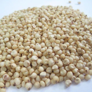 Sorghum Seeds 1 Kg