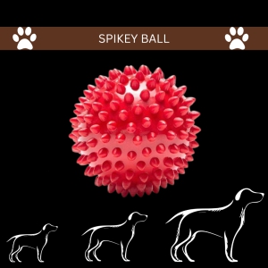 Spikey Ball Dog Toy-Single